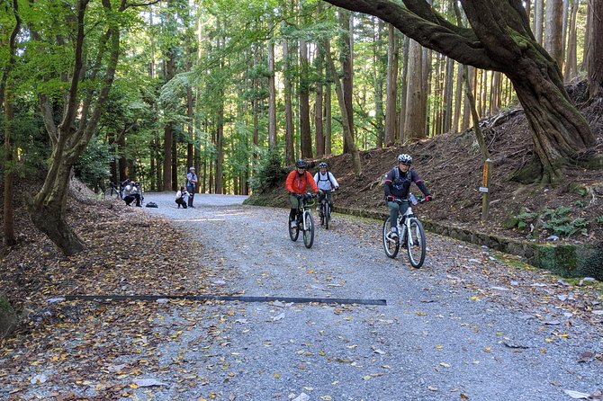 Nara - Heart of Nature Bike Tour - Confirmation and Accessibility