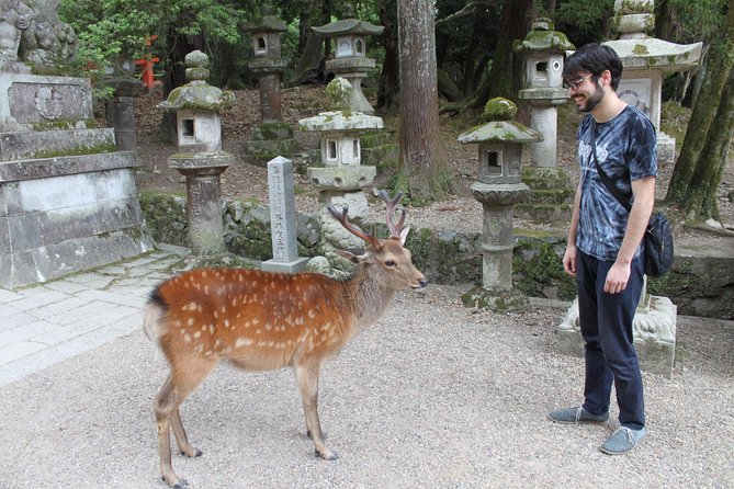 Nara - Highlights Bike Tour - Inclusions