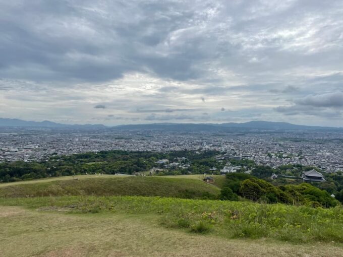 Nara: Hiking the Forest, Big Buddha, Deer, Shrine, Sun Set - Frequently Asked Questions
