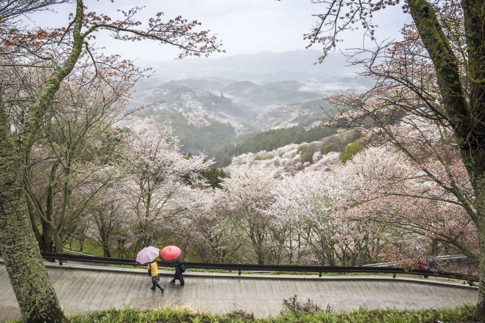Nara Like a Local: Customized Guided Tour - Inclusions and Exclusions