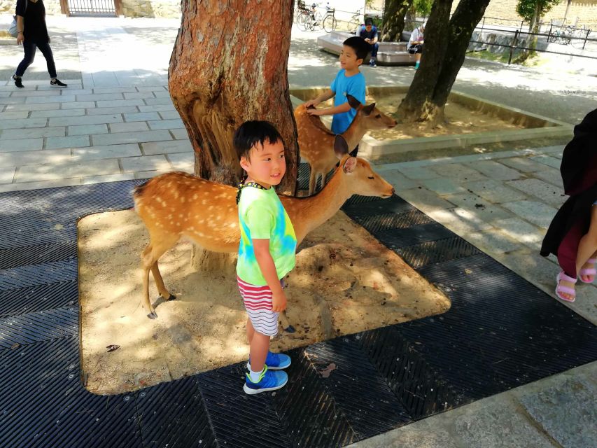 Nara: Nara Park Private Family Bike Tour With Lunch - Starting Locations