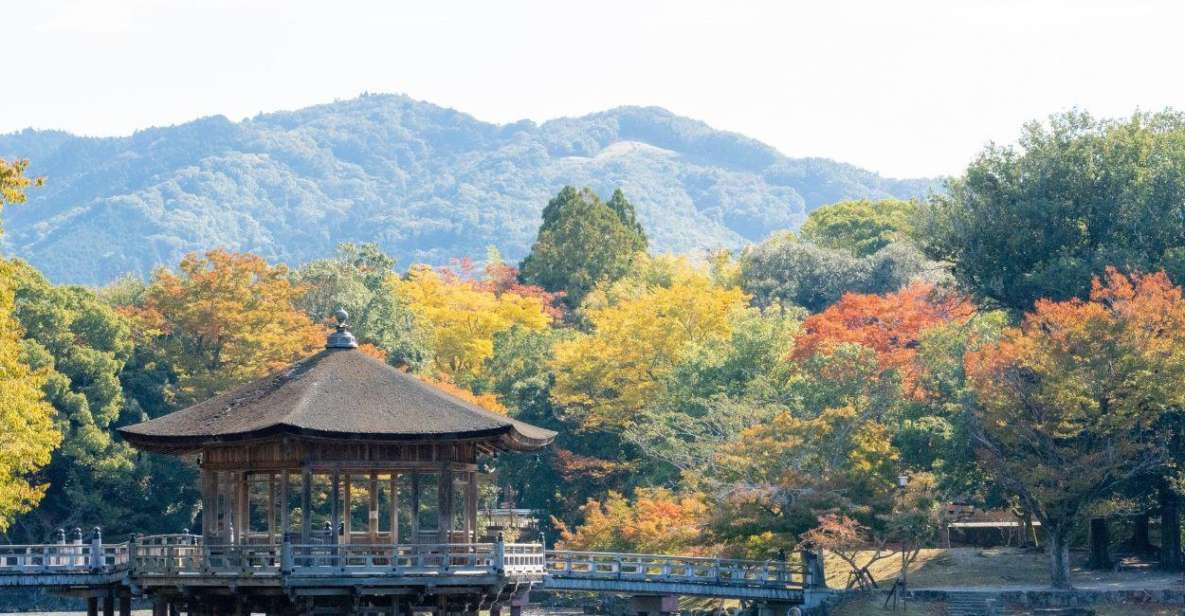 Nara: Private City Tour With A Local Guide - Highlights
