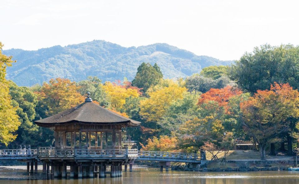 Nara: Private City Tour With A Local Guide - Nara Park
