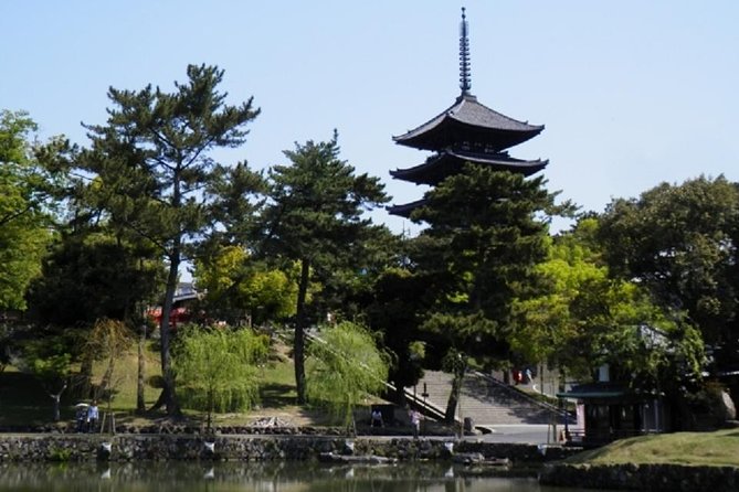 Nara Private Tour by Public Transportation From Kyoto - Pickup and Transportation