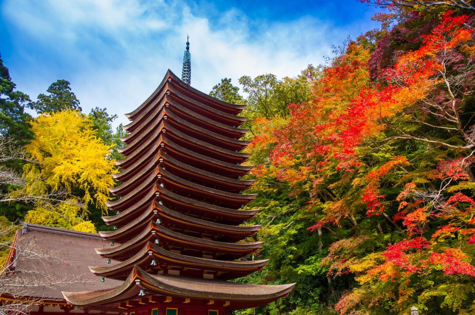 Nara: Private Tour With Private Guide - Transportation and Accessibility