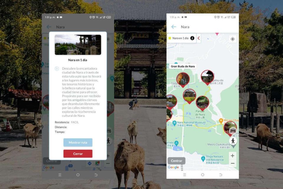 Nara Self-Guided App With Multi-Language Audio Guide - Dive Into Religious Culture