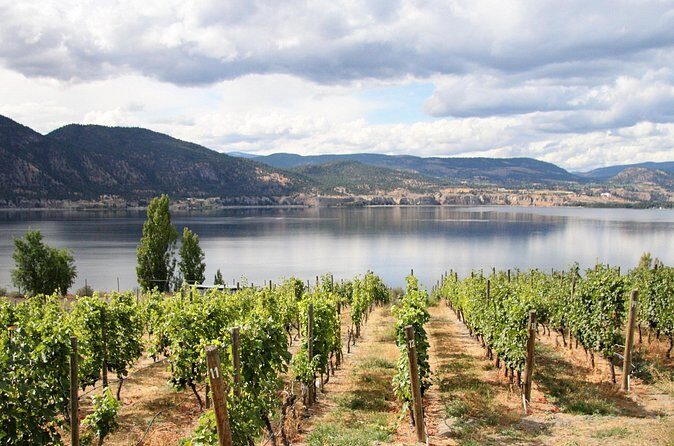 Naramata Public Wine Tour - Full Day - Logistics & Practical Details