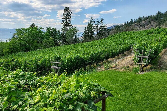 Naramata Public Wine Tour - Half Day - Transport and Timing