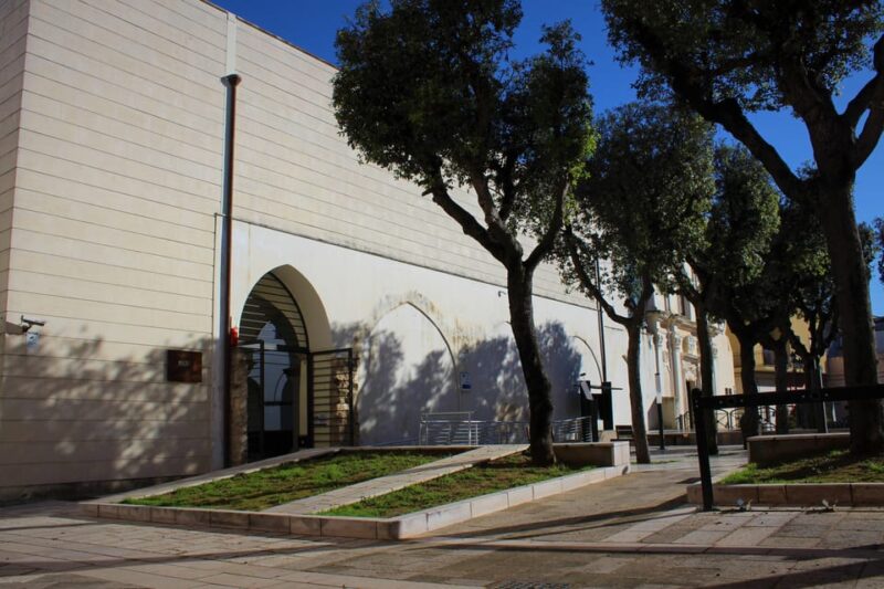 Nardò (Nardò-Lecce): Guided Tour of the Museum of Prehistory - Archaeological Insights