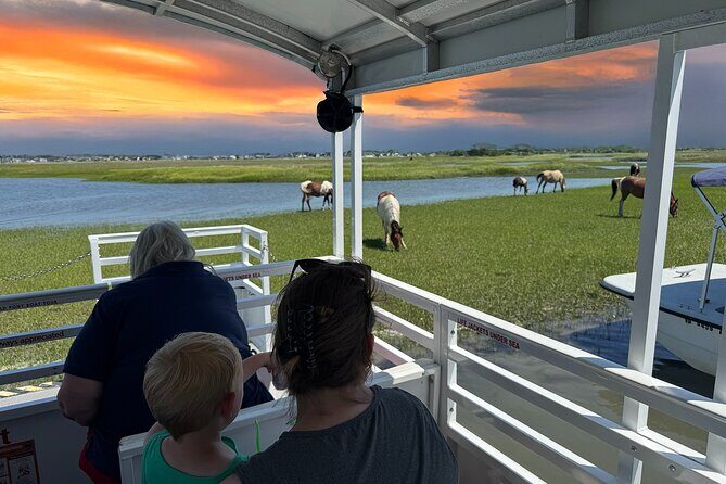 Narrated Sunset Wild Pony Cruise in Chincoteague - Key Points
