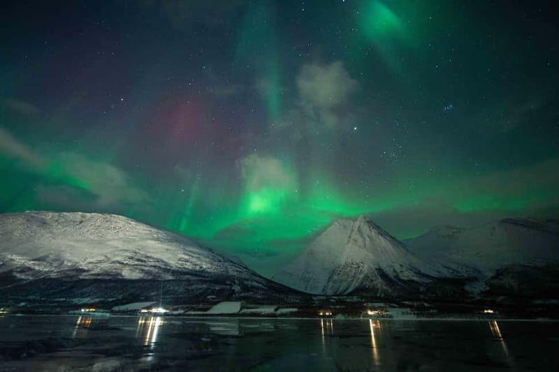 Narvik: Northern Lights Guided Tour with Photography Tips - What to Expect from the Tour