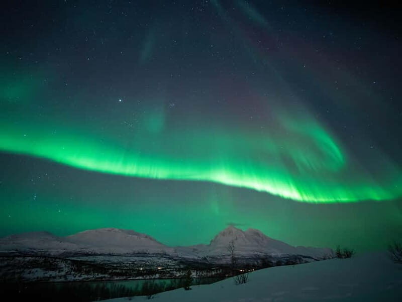 Narvik: Northern Lights Guided Tour with Photography Tips - The Experience: Authentic and Practical