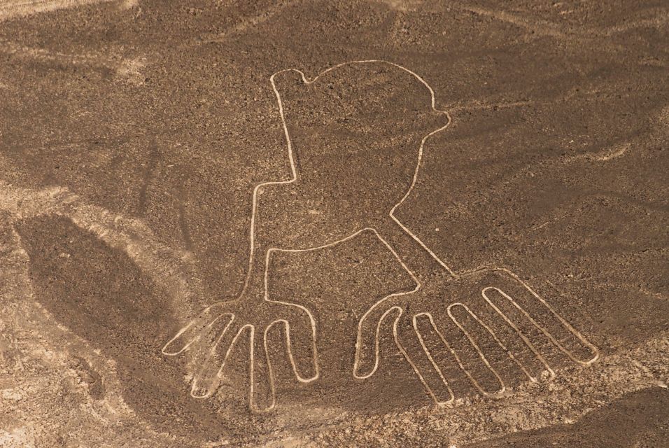 Nasca Lines Overflight With Lunch From Lima - Key Points