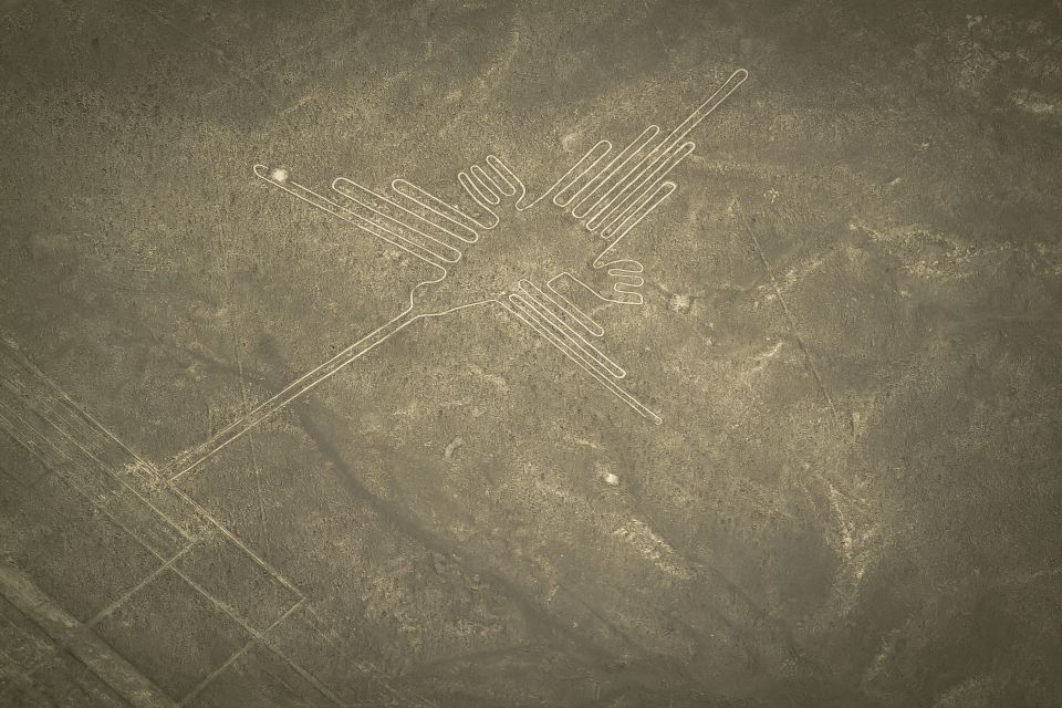 Nasca Lines Overflight With Lunch From Lima - Visiting Huacachina Oasis