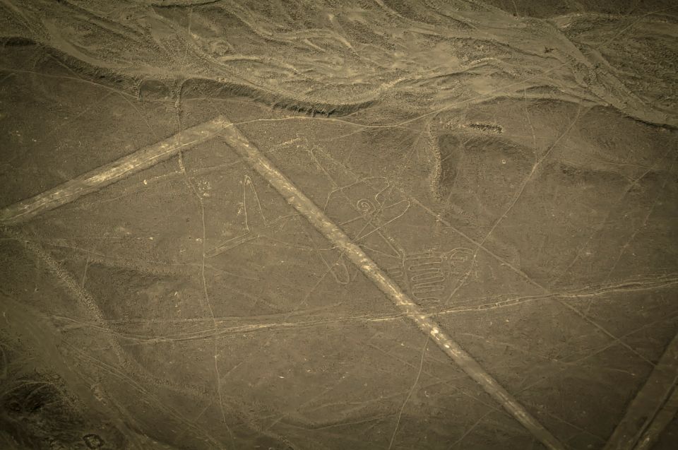Nasca Lines Overflight With Lunch From Lima - Delightful Lunch at Restaurant