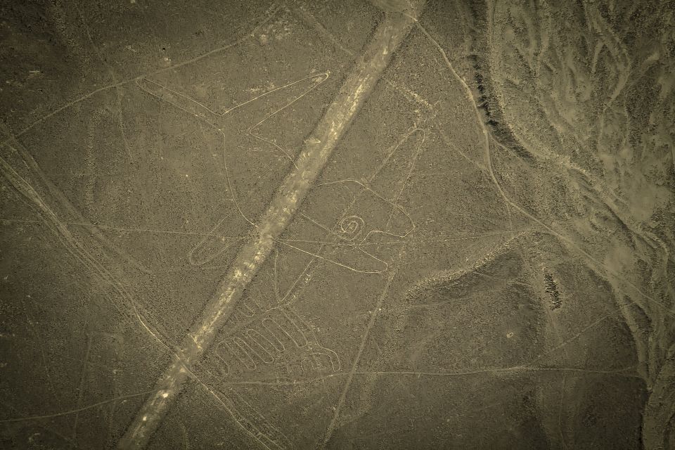 Nasca Lines Overflight With Lunch From Lima - Booking Details and Restrictions