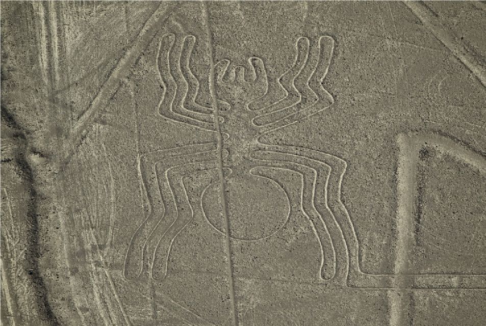 Nasca Lines Overflight With Lunch From Lima - Frequently Asked Questions