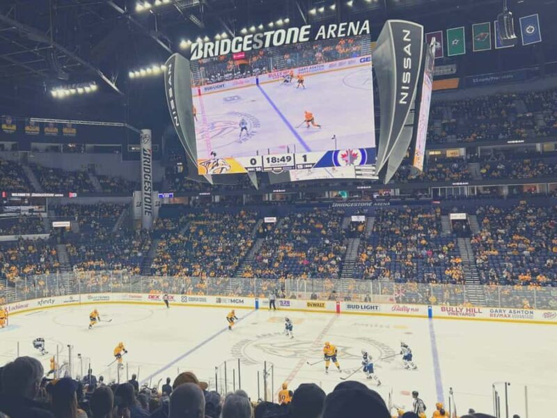 Nashville: Nashville Predators Ice Hockey Game Ticket - Who Will Enjoy This?