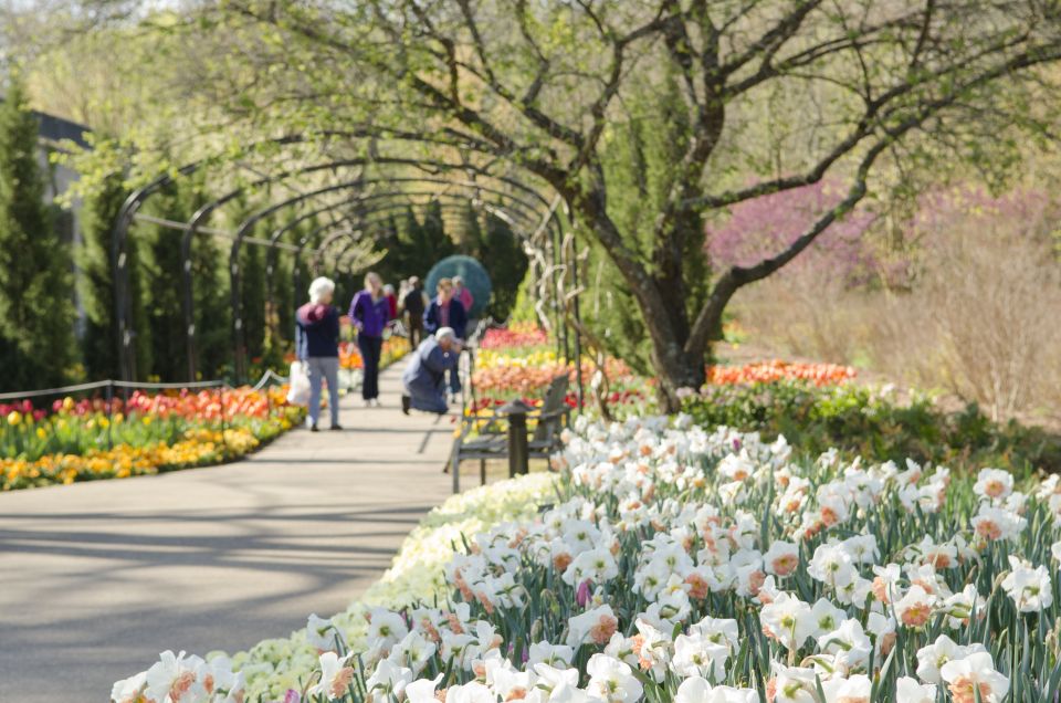 Nashville: Sightseeing Day Pass - Inclusions and Discounts