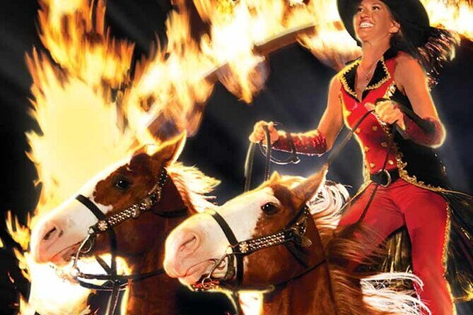 Nashville to Dollywood Pigeon Forge Private Driver DAYTRIP - Analyzing the Cost and Value