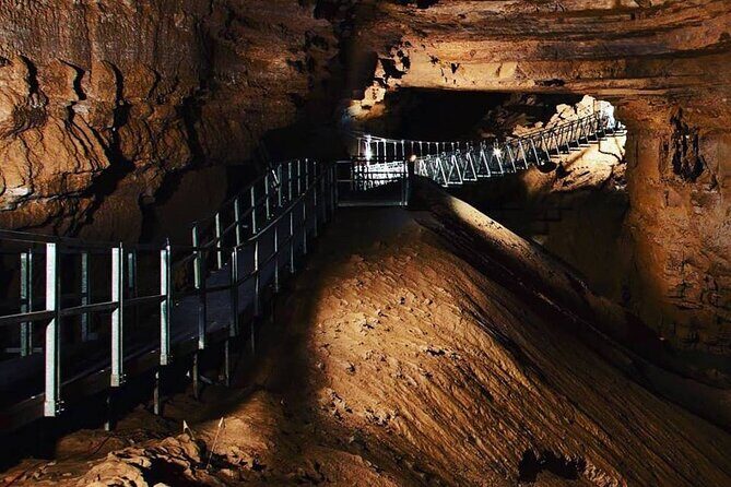 Nashville to Kentucky Caves & Kangaroos: A Day of Enchantment - Key Points