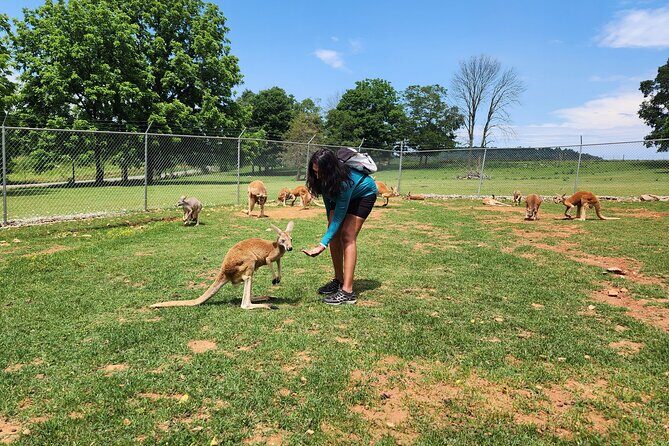 Nashville to Kentucky Caves & Kangaroos: A Day of Enchantment - Encountering the Australian Outback in Kentucky