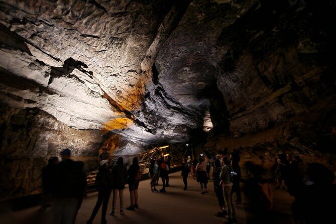 Nashville to Kentucky Caves & Kangaroos: A Day of Enchantment - Authentic Reviews: What Travelers Say