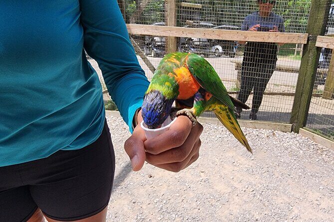 Nashville to Kentucky Caves & Kangaroos: A Day of Enchantment - Why This Tour Could Be Perfect for You