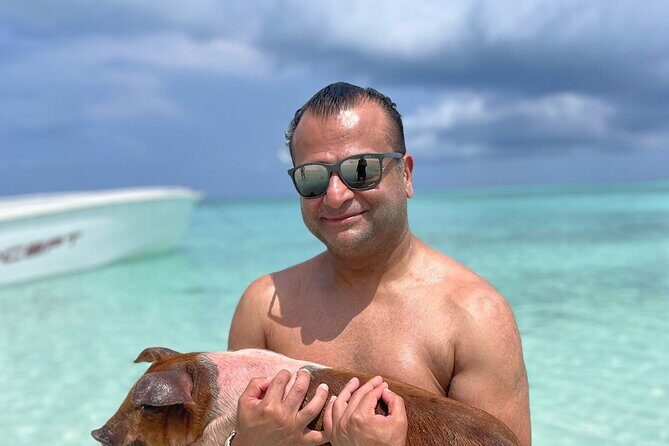 Nassau: 3 islands Pigs,Turtles,Snorkel & Beach Club with lunch - The Sum Up
