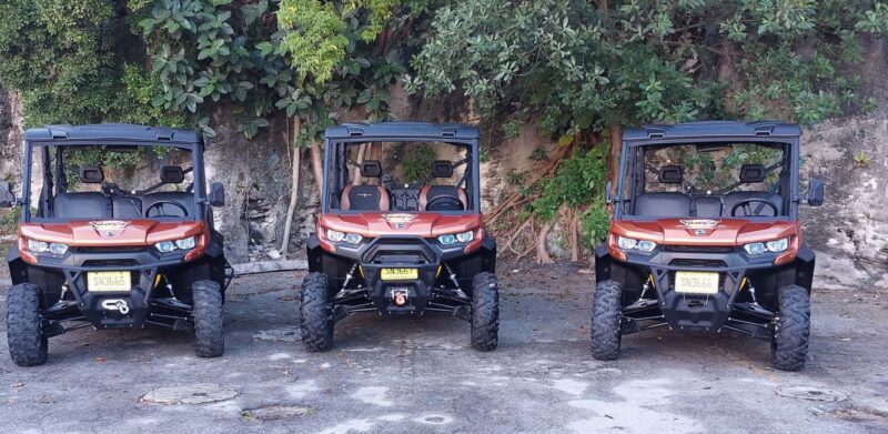 Nassau: 6-Seater Beach Buggy Rental - Authentic Experiences and Local Encounters