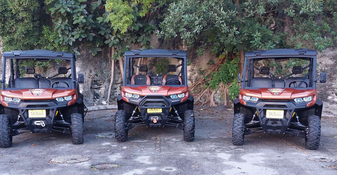 Nassau: 6-Seater Beach Buggy Rental - Key Points