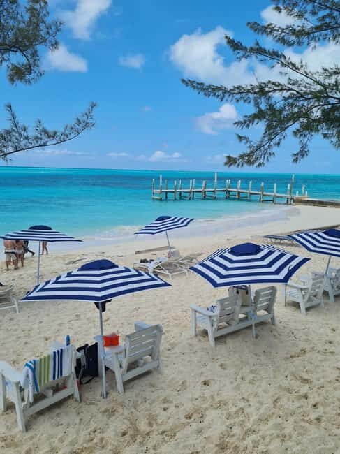 Nassau ATV & Swimming Pigs Tour - The Sum Up