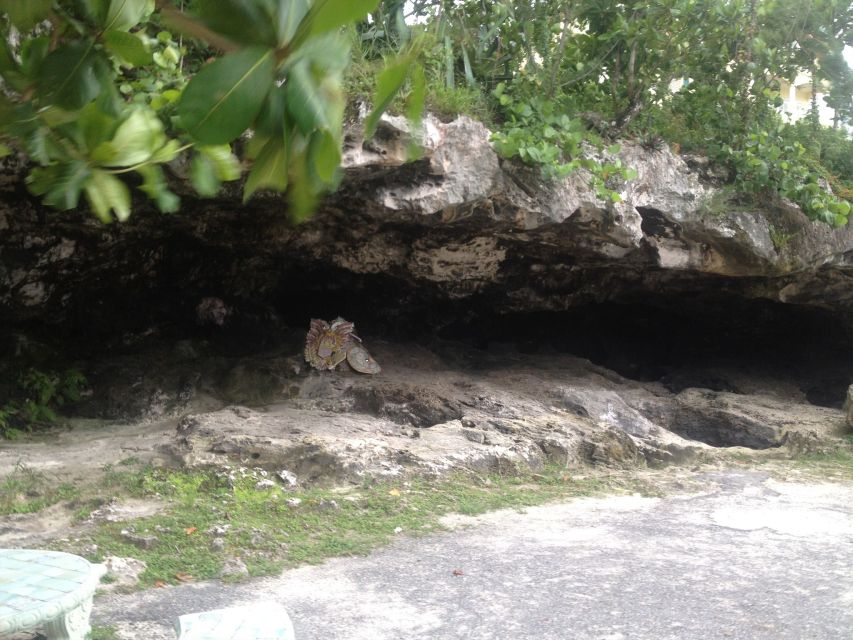 Nassau: Bahamas Island Jeep Buggy Tour With Bahamian Lunch - Getting to the Tour