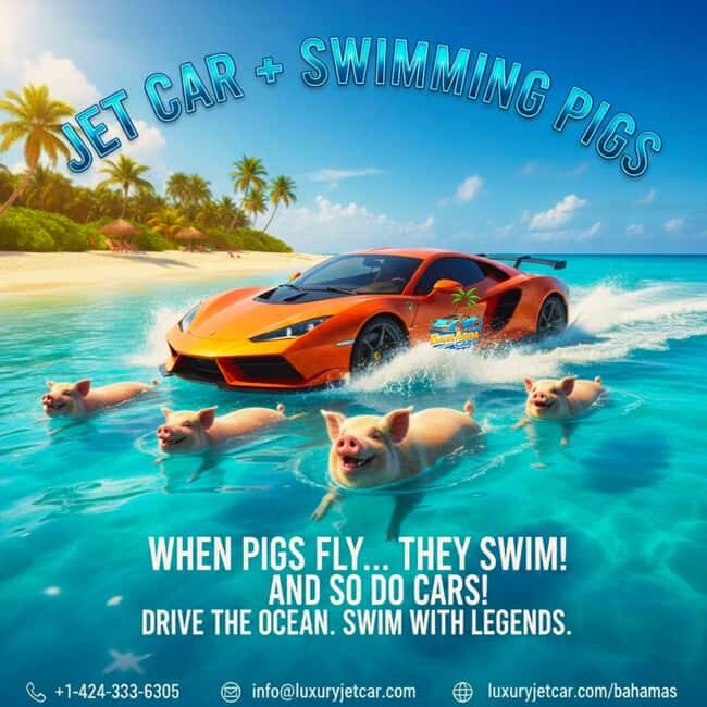 Nassau Bahamas: Jetcar Excursion to Pig Island Tour - Key Points