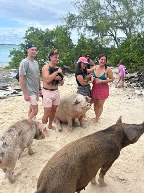 Nassau Bahamas: Jetcar Excursion to Pig Island Tour - FAQs