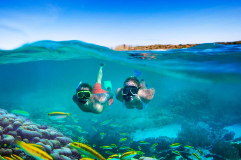 Nassau: Catamaran Sail and Snorkel Tour - Highlights