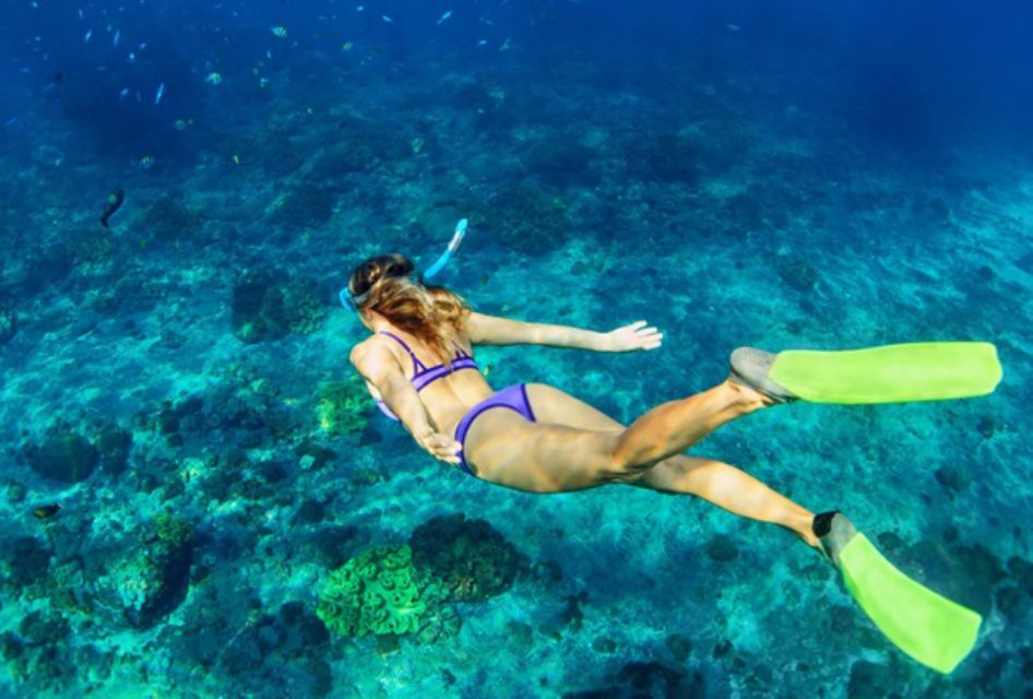 Nassau: Catamaran Sail and Snorkel Tour - Meeting Point and Arrival