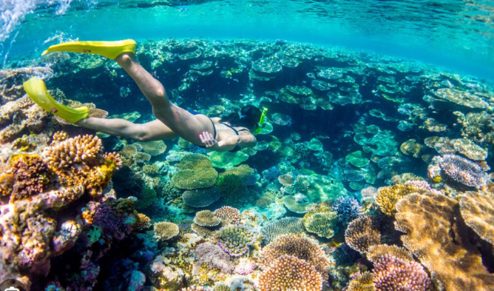 Nassau: Catamaran Sail and Snorkel Tour - What to Bring