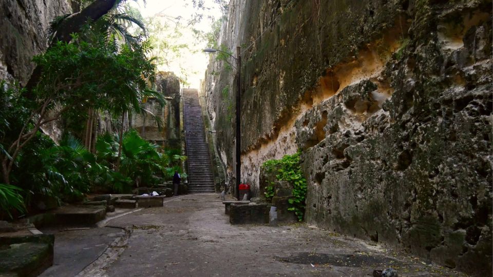 Nassau City Tour: Discover the Charms of Old Charles Towne - Key Points