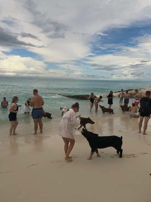 Nassau: Full-Day Party Catamaran with Private Beach & Lunch - Lunch: Flavors of the Bahamas