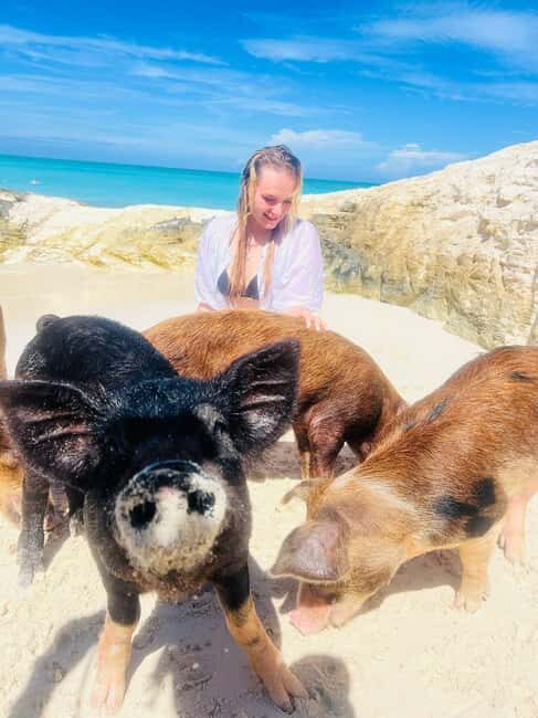 Nassau: Full-Day Party Catamaran with Private Beach & Lunch - Value and Pricing