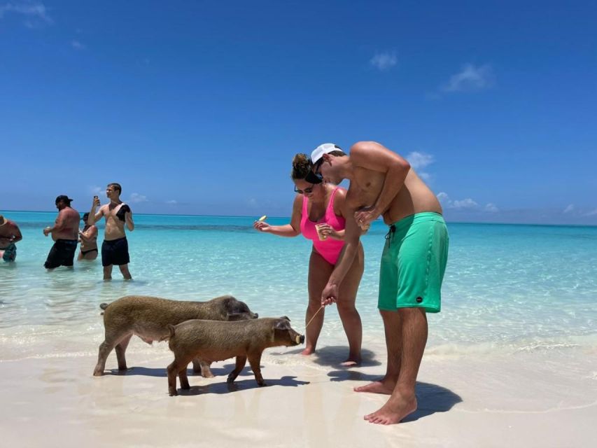 Nassau: Half-Day Guided Cay Cruise, Sea Life Watch & Snorkel - Inclusions and What to Expect