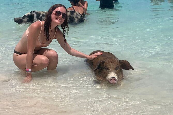 Nassau: Half Day Reef Snorkeling, Turtles & Swimming Pigs - Nassau: Half Day Reef Snorkeling, Turtles & Swimming Pigs — An Honest Review