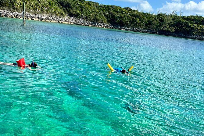 Nassau: Pig Island and Snorkeling Experience - Frequently Asked Questions