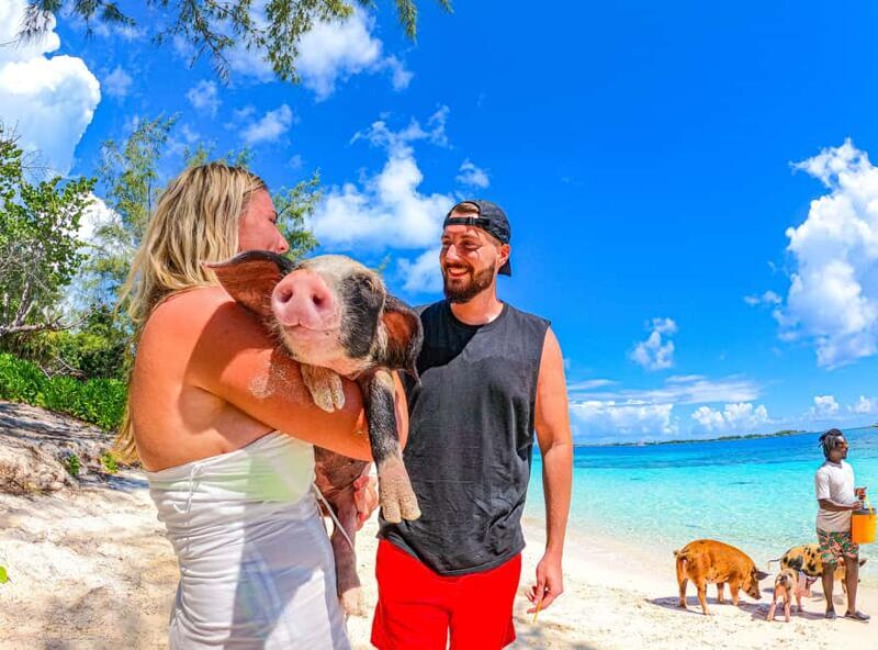 Nassau: Pigs Beach Trip by Boat with Swimming and Feeding - FAQ