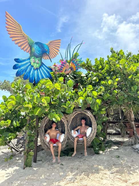 Nassau: Pigs, Snorkel, Turtles, Lunch, Private Beach Club - Who Should Book This?