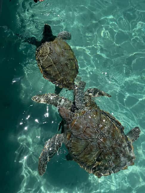 Nassau: Private Boat Charter Snorkel Tour - The Itinerary Breakdown