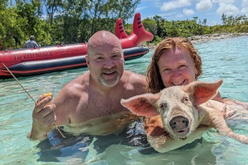 Nassau: Private Swim with Pigs and Snorkeling Adventure - Key Points