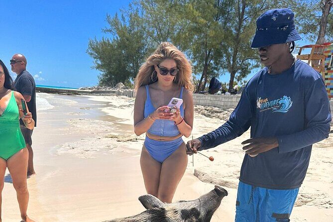 Nassau, Private Swimming Pig, Island Hopping, Snorkeling, Turtles - Final Words on Value and Suitability