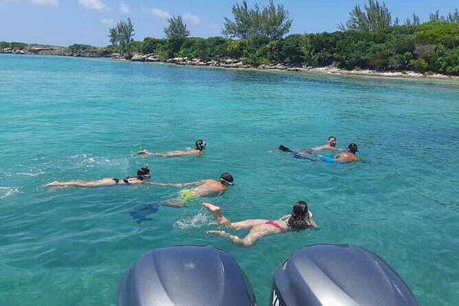 Nassau, Private Swimming Pig, Island Hopping, Snorkeling, Turtles - Who Should Consider This Tour?